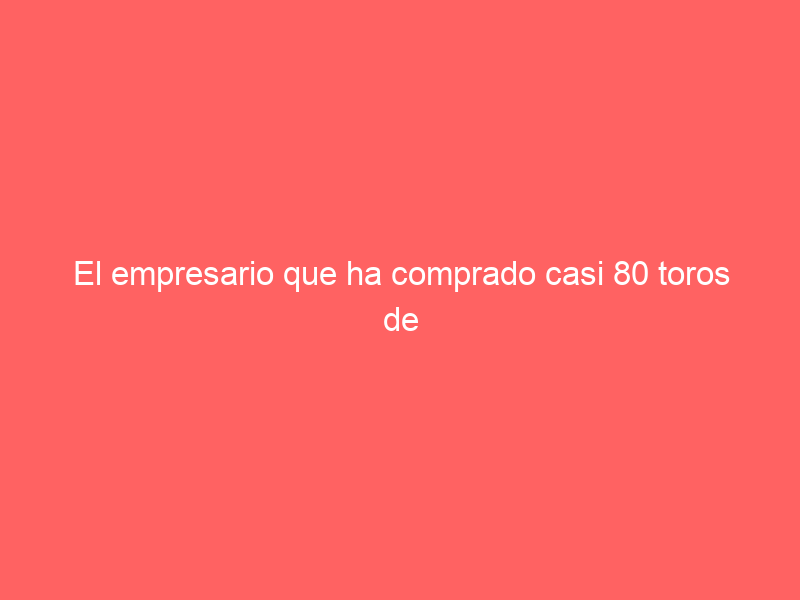 El empresario que ha comprado casi 80 toros de plazas de primera y se los ha llevado a su finca en Valencia
