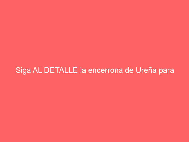 Siga AL DETALLE la encerrona de Ureña para reabrir la plaza de Sutullena