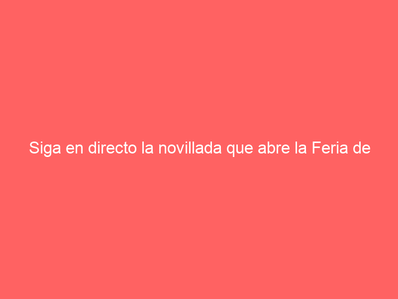 Siga en directo la novillada que abre la Feria de Olivenza