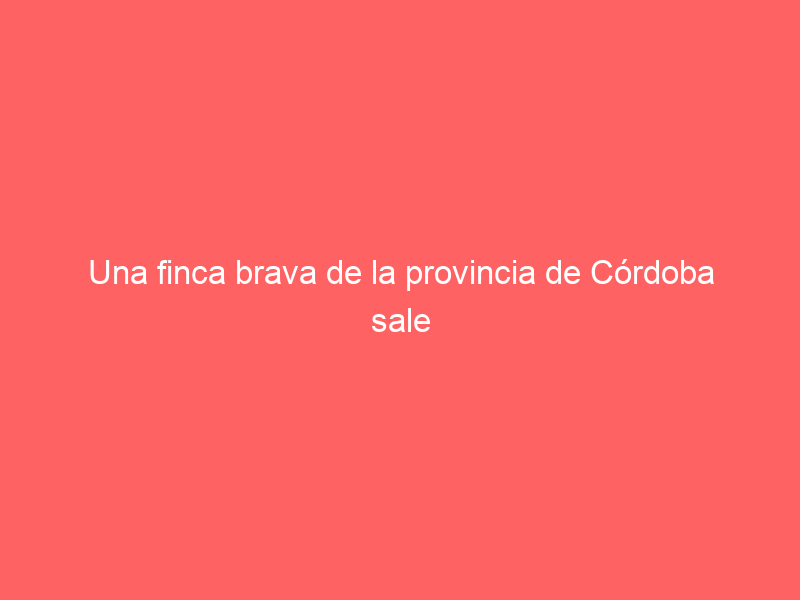 Una finca brava de la provincia de Córdoba sale a la venta por 2.050.000 millones