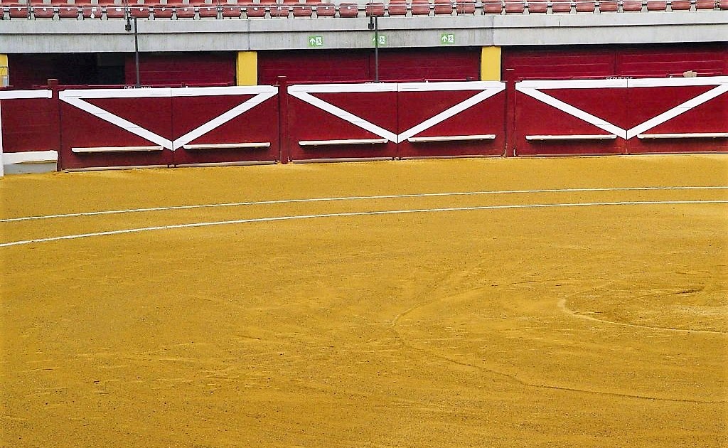 ARENA-Diccionario cómico-taurino:—El lugar donde se ganan los cuartos y se suele perder la vergüenza.