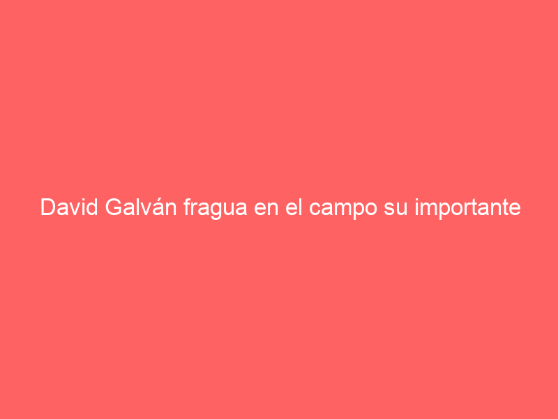 David Galván fragua en el campo su importante temporada 2024