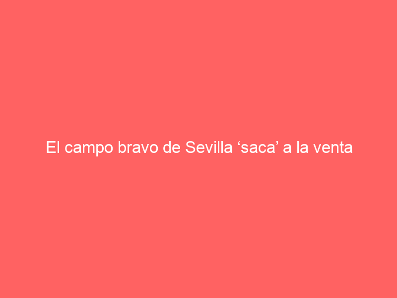 El campo bravo de Sevilla ‘saca’ a la venta otra importante finca ganadera por casi 2,4 millones de euros