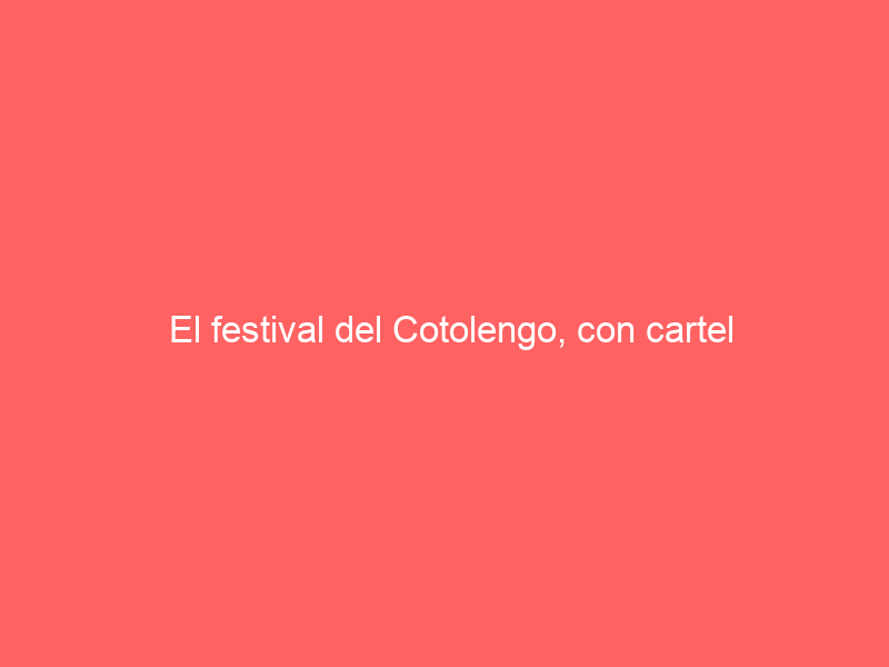 El festival del Cotolengo, con cartel