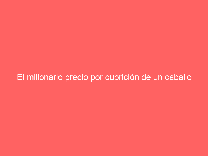El millonario precio por cubrición de un caballo de rejoneo estrella: ¿Cuánto cuesta tener la simiente de una figura equina?