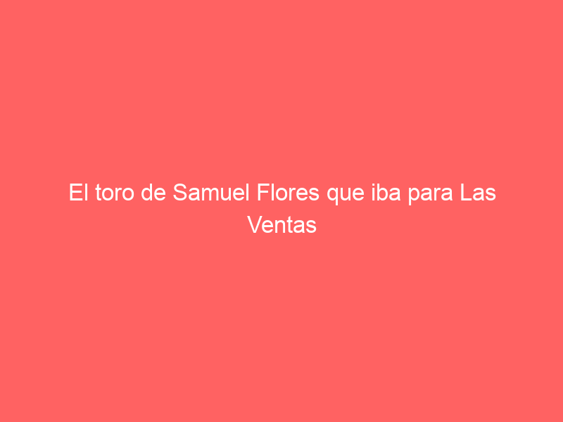 El toro de Samuel Flores que iba para Las Ventas y se ha lidiado en Beas: esta es su historia