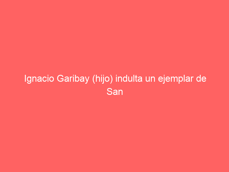 Ignacio Garibay (hijo) indulta un ejemplar de San Isidro en la segunda semifinal del Encuentro Mundial de Escuelas Taurinas en Aguascalientes