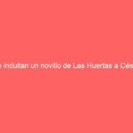 Le indultan un novillo de Las Huertas a César Fernández y triunfa en el coso “San Marcos” en la novillada que abrió la feria