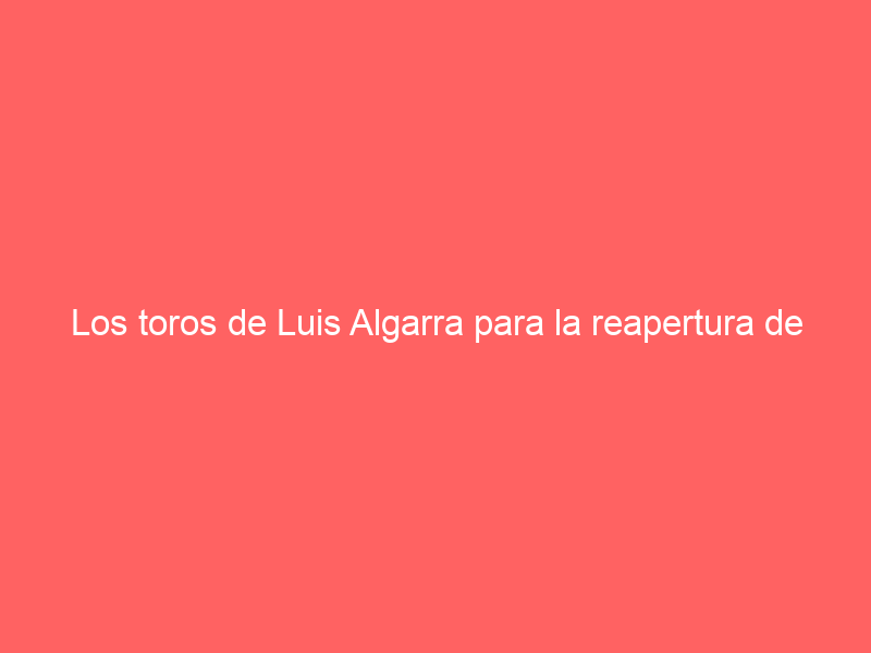Los toros de Luis Algarra para la reapertura de Ciudad Real