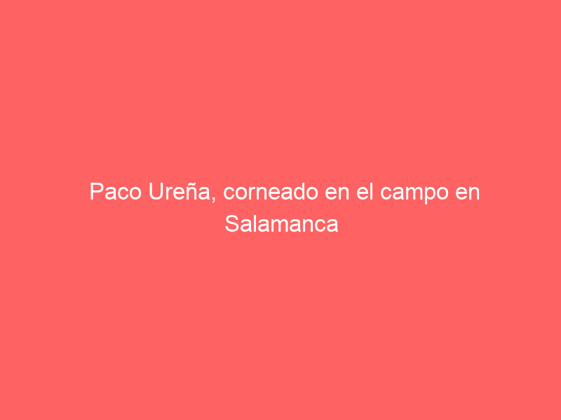 Paco Ureña, corneado en el campo en Salamanca