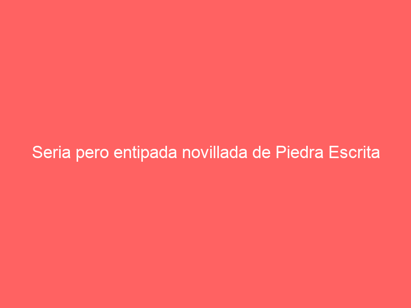 Seria pero entipada novillada de Piedra Escrita para la final del Alfarero de Plata