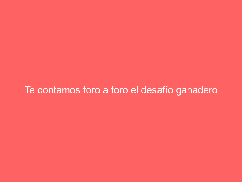 Te contamos toro a toro el desafío ganadero entre Palha y Conde de la Corte