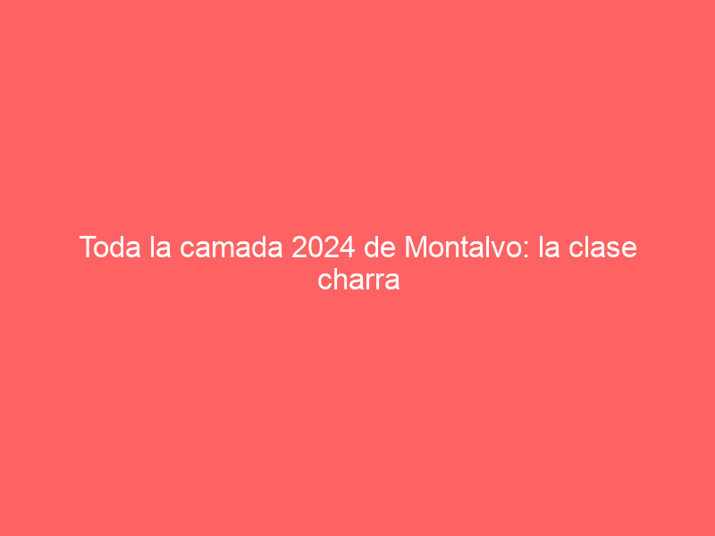 Toda la camada 2024 de Montalvo: la clase charra y los 80 toros que lidiará