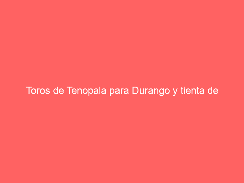 Toros de Tenopala para Durango y tienta de «Calita»