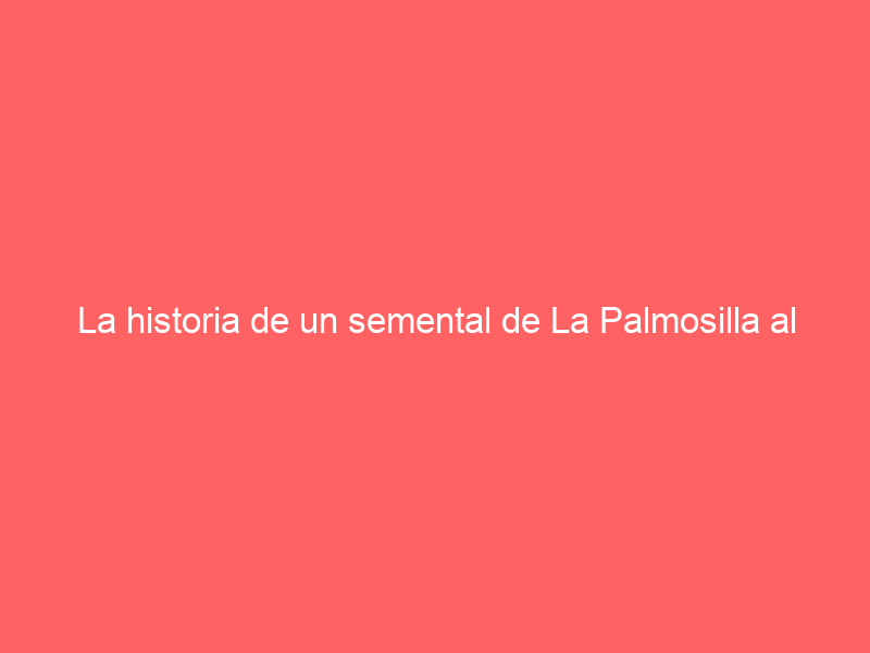 La historia de un semental de La Palmosilla al que sus hermanos ahogaron en un pozo: su ganadero ‘avanza’ un buen augurio con sus hijos