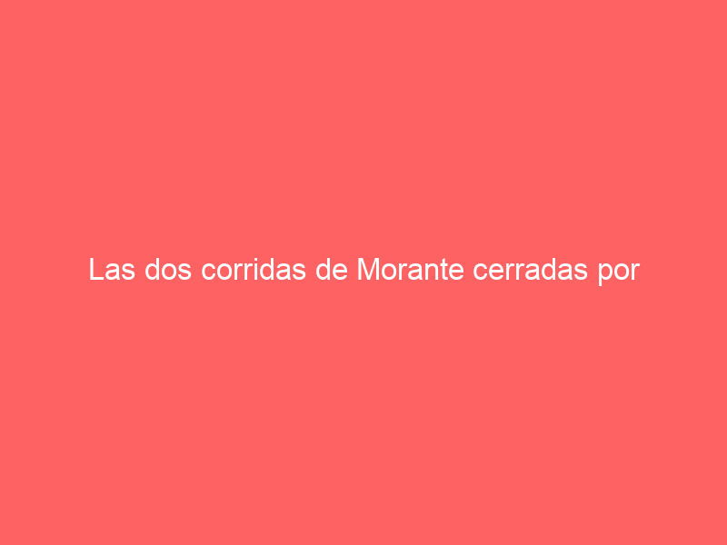 Las dos corridas de Morante cerradas por televisión en abierto para las próximas semanas