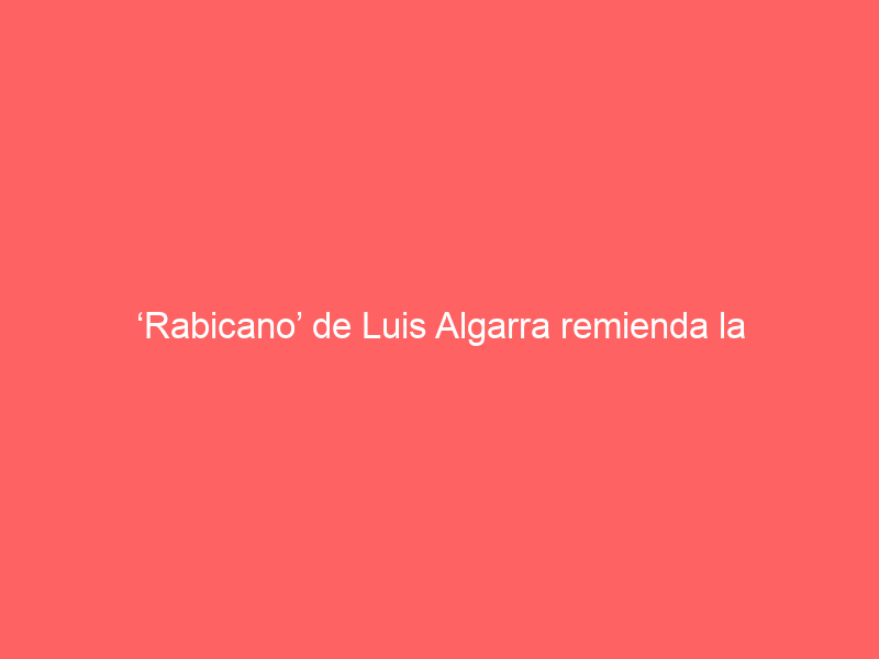 ‘Rabicano’ de Luis Algarra remienda la corrida de Santiago Domecq hoy en Las Ventas