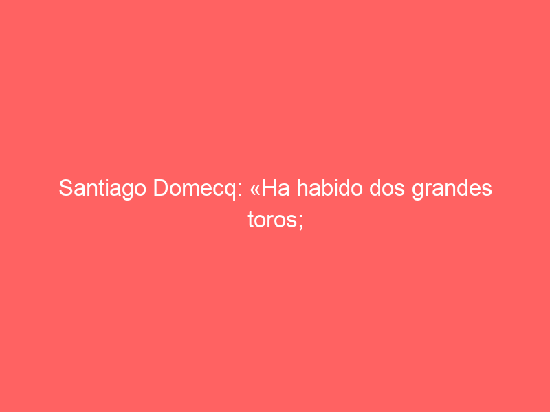 Santiago Domecq: «Ha habido dos grandes toros; pedimos disculpas por no haber podido lidiarla completa»