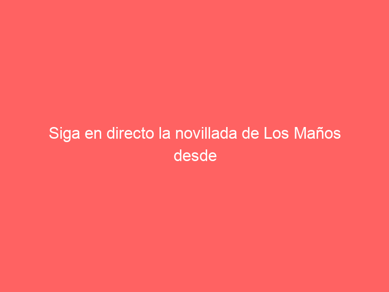 Siga en directo la novillada de Los Maños desde Las Ventas