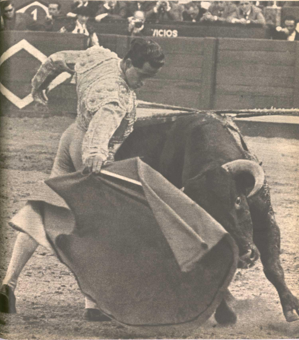 1964:El Viti dominando al toro en Bilbao