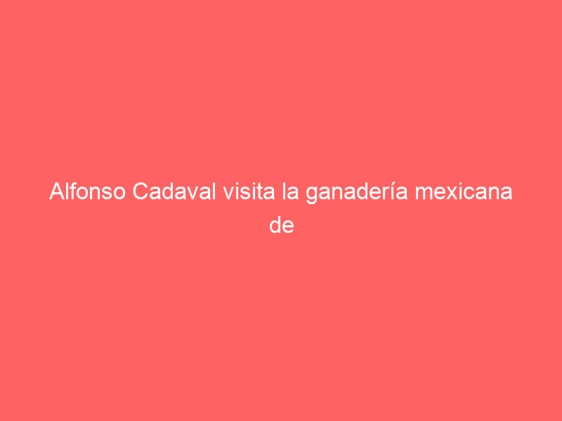 Alfonso Cadaval visita la ganadería mexicana de San Constantino
