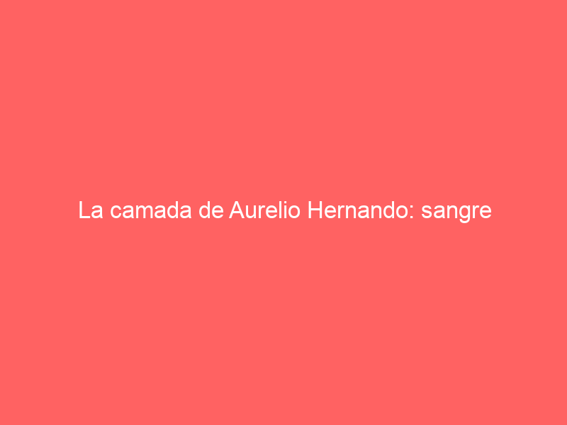 La camada de Aurelio Hernando: sangre «veragüeña» en la Sierra de Guadarrama