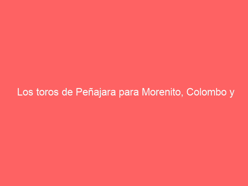 Los toros de Peñajara para Morenito, Colombo y Canton en Aire-sur-l’Adour