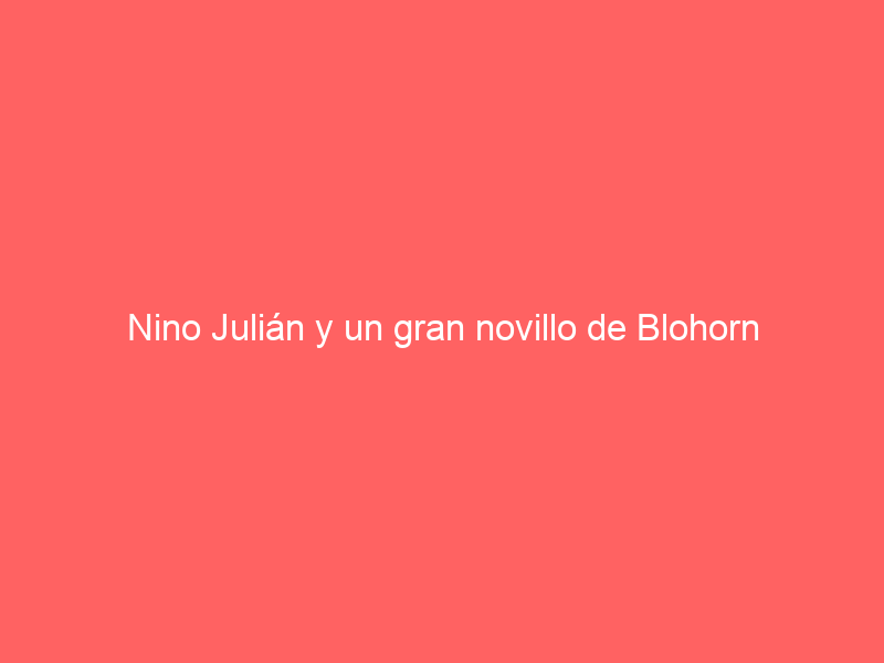 Nino Julián y un gran novillo de Blohorn destacan en la tarde de Mauguio
