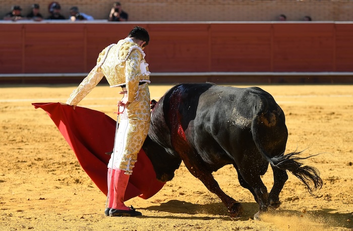 En Móstoles… Víctor Hernández se alza como triunfador de la Copa Chenel