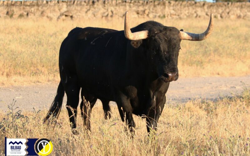 Los toros de Victoriano del Río para Bilbao