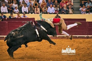 Forcados Amadores de Alcochete