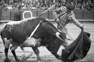 El poder y la profundidad de la muleta de Manolo Bienvenida