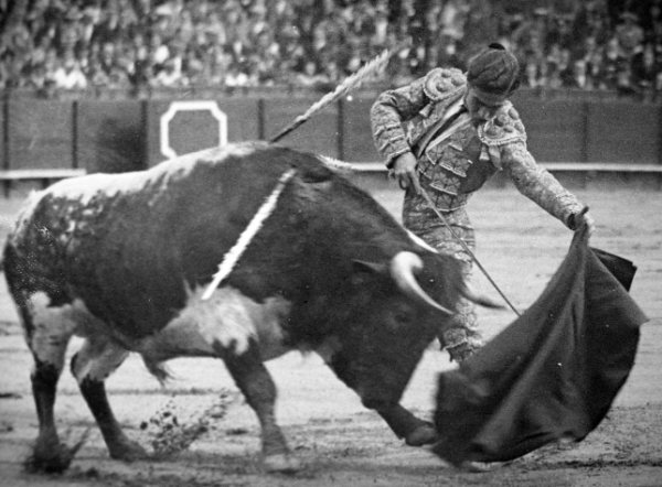El poder y la profundidad de la muleta de Manolo Bienvenida