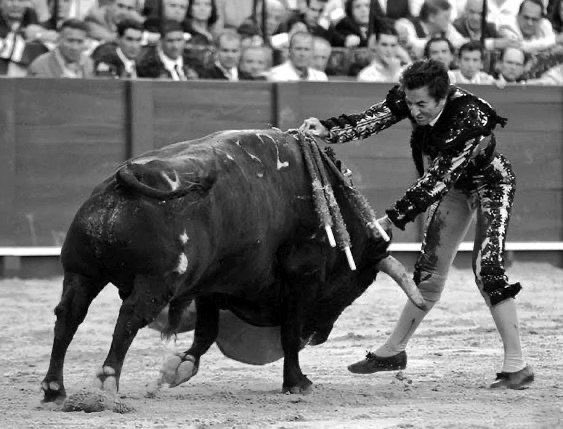 2008-Estocada de El Fundi a un toro de Palha en Sevilla:estocada de la Feria