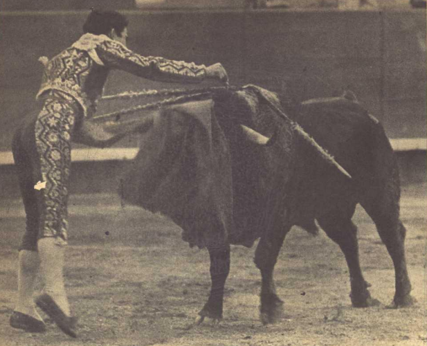 La estocada según Paco Camino
