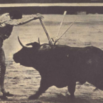 1965:Manuel Coelho asomándose al balcón