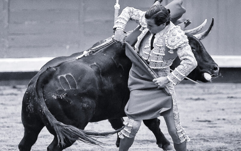 Andrew Moore, premiado 