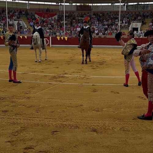 XI Edición del Alfarero de Plata: el trampolín de los novilleros sin caballos