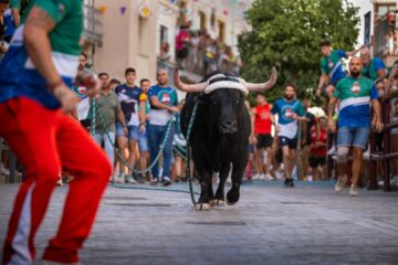 Carcabuey, 400 años celebrando su Toro de Cuerda 