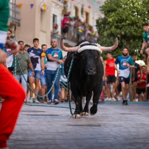 Carcabuey, 400 años celebrando su Toro de Cuerda 