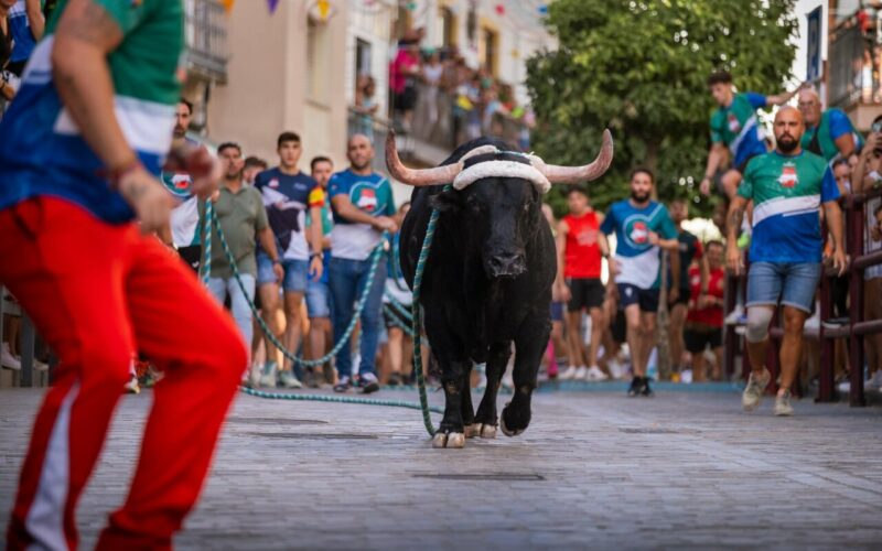 Carcabuey, 400 años celebrando su Toro de Cuerda 