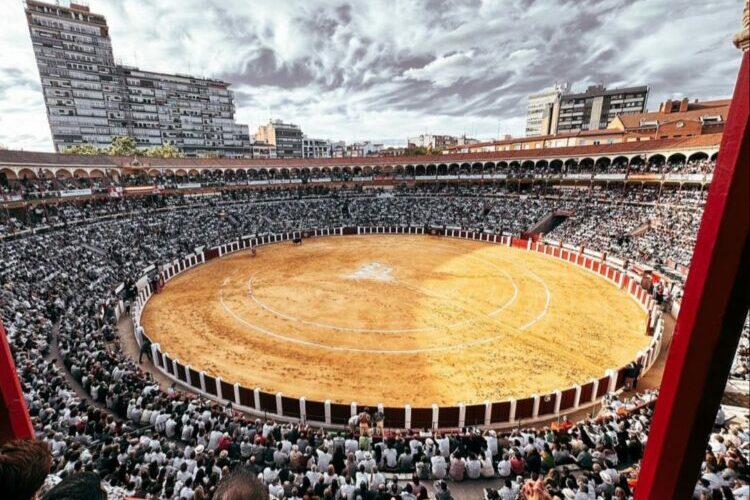 Valladolid anuncia un elenco ganadero de lujo para su feria de septiembre 