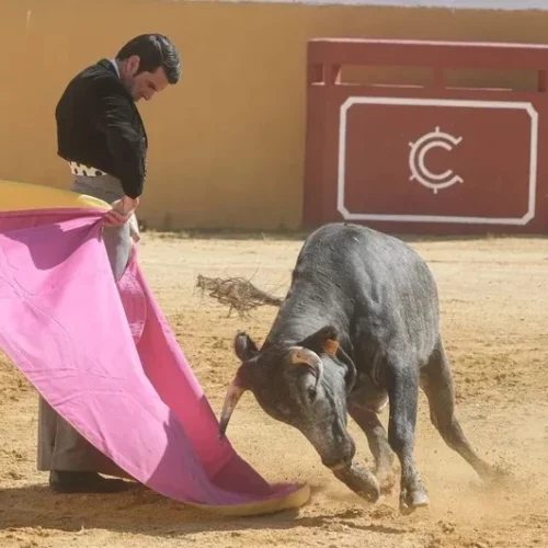 Los ganaderos de La Quinta retiran su corrida del abono de Sevilla tras el «no» a Emilio de Justo