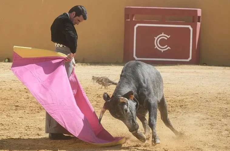 Los ganaderos de La Quinta retiran su corrida del abono de Sevilla tras el «no» a Emilio de Justo