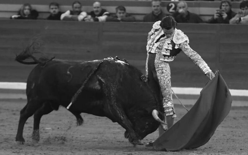 Juan Ortega: el toreo eterno en Illescas