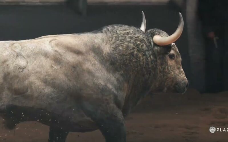 Los toros de Adolfo Martín ya se encuentran en Las Ventas