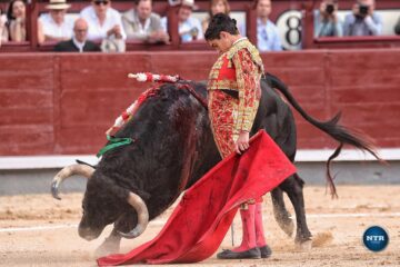 Las prisas por crear un «producto», que no un torero
