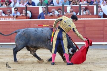 En Albacete… una vuelta al ruedo para Rubén Pinar