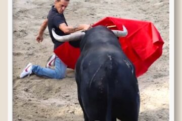 El comentario de Alfredo Rodríguez Blázquez… La lucha de un novillero: Javier Ramírez