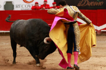 Galería fotográfica de Fernando Moreno… El Galo cortó la única oreja en Guadalajara